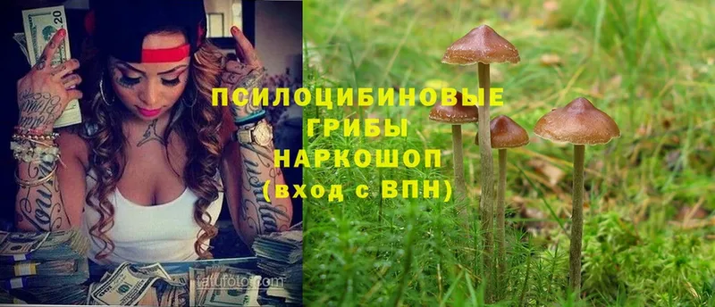 Псилоцибиновые грибы Psilocybine cubensis  MEGA как зайти  Ишимбай 